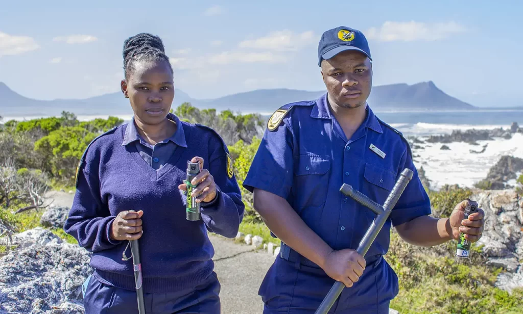 Two patrol officers